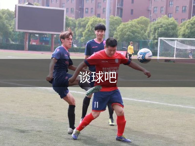 谈球吧概况